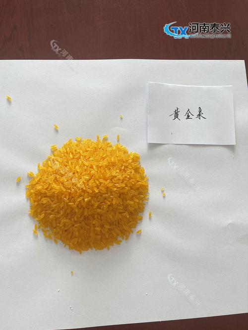 河南泰兴粮油机械玉米联产生产线产品展示